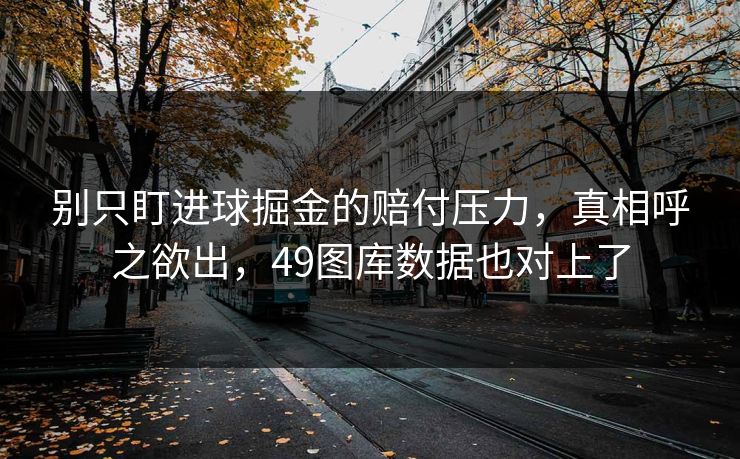 别只盯进球掘金的赔付压力，真相呼之欲出，49图库数据也对上了