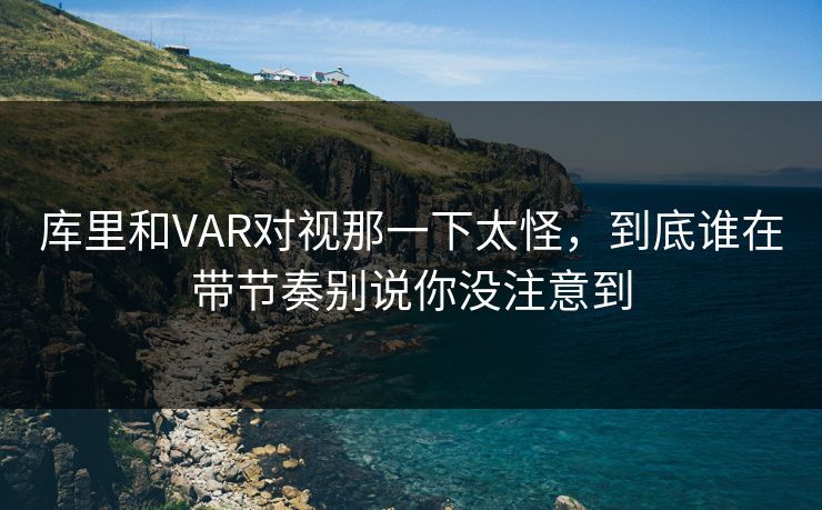库里和VAR对视那一下太怪，到底谁在带节奏别说你没注意到