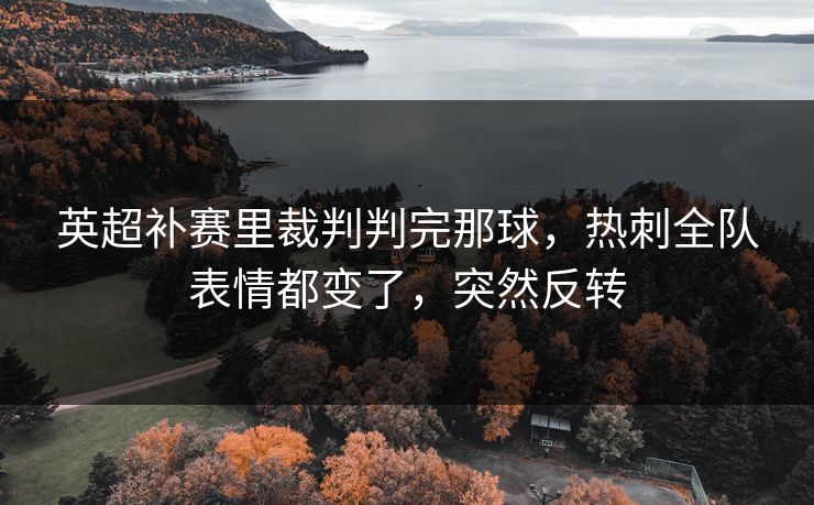 英超补赛里裁判判完那球,热刺全队表情都变了,突然反转